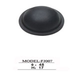 FJ007